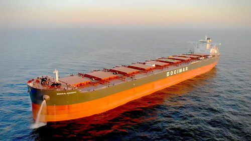 青岛造20.6万吨级大型散货船完成航行试验