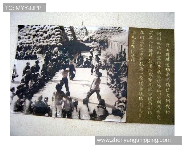 深圳排球队的崛起与挑战揭秘排球巨献背后的实力与故事