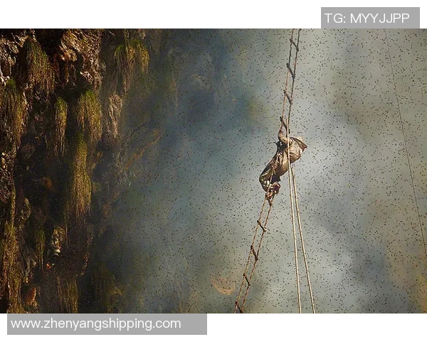 西安攀岩队整体压制革新探索：从技术到团队协作的全方位提升之路